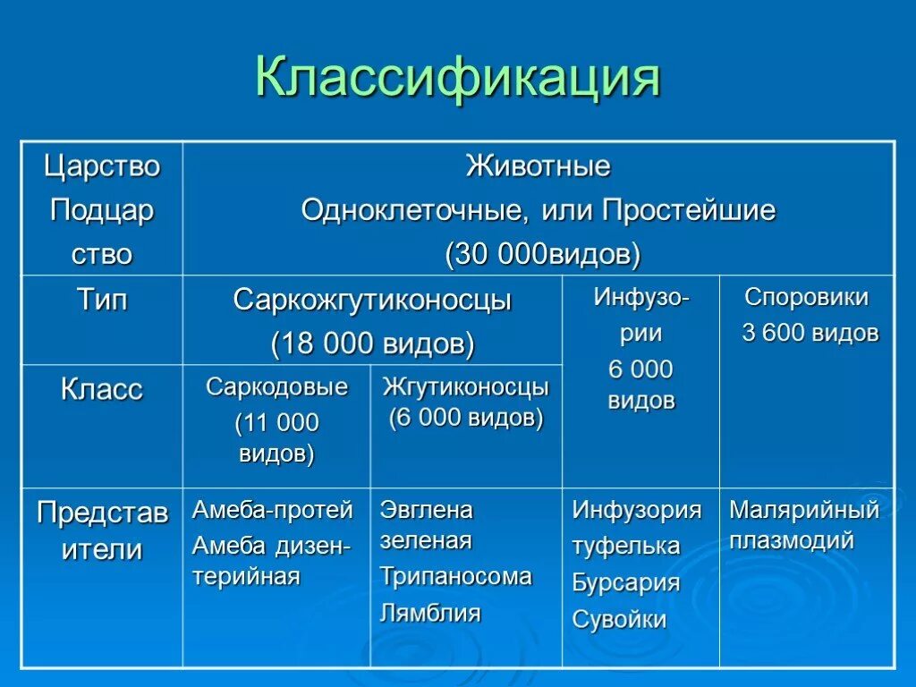 Амеба систематика. Простейшие систематика Саркодовые. Классификация простейших 7 класс биология таблица. Таблица по биологии 7 класс Подцарство одноклеточных. Подцарство простейшие таблица.