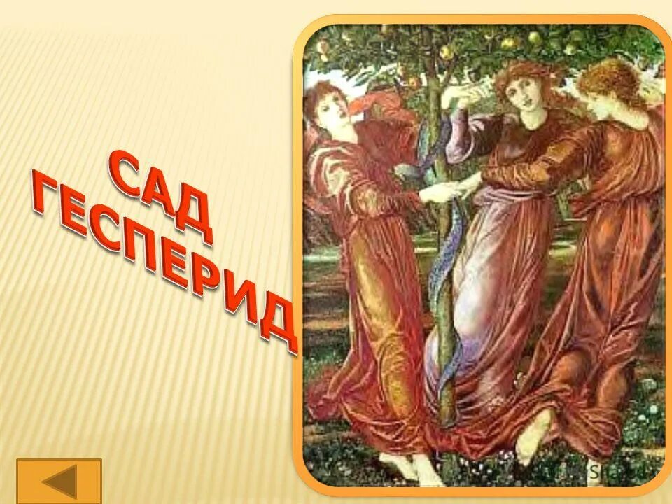 Сад гесперид картина. Комнатные растения гесперид. Геракл в саду гесперид. Похищение золотых яблок из сада гесперид. 12 подвигов геракла яблоки гесперид.