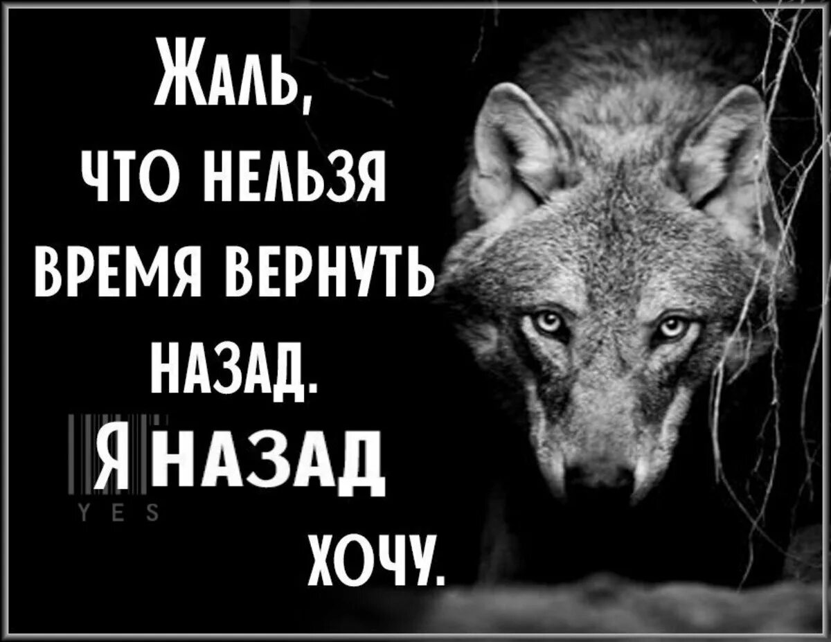 Жаль что нельзя вернуть время назад. Вернуть время назад цитаты. Вернуть время. Хочу вернуть назад. Вернуть бы время хотя бы год