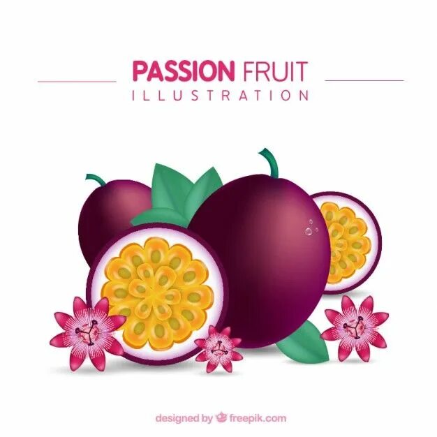 Passion fruit tini. Маракуйя логотип. Маракуйя фрукт рисунок. Пассион фрукт. Экзотические фрукты вектор.