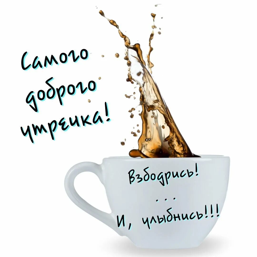 Доброе утро готовы. С добрым утром мужчине прикольные. Смешные пожелания с добрым утром. С добрым утром мужчине п. Открытки с добрым утром прикольные.