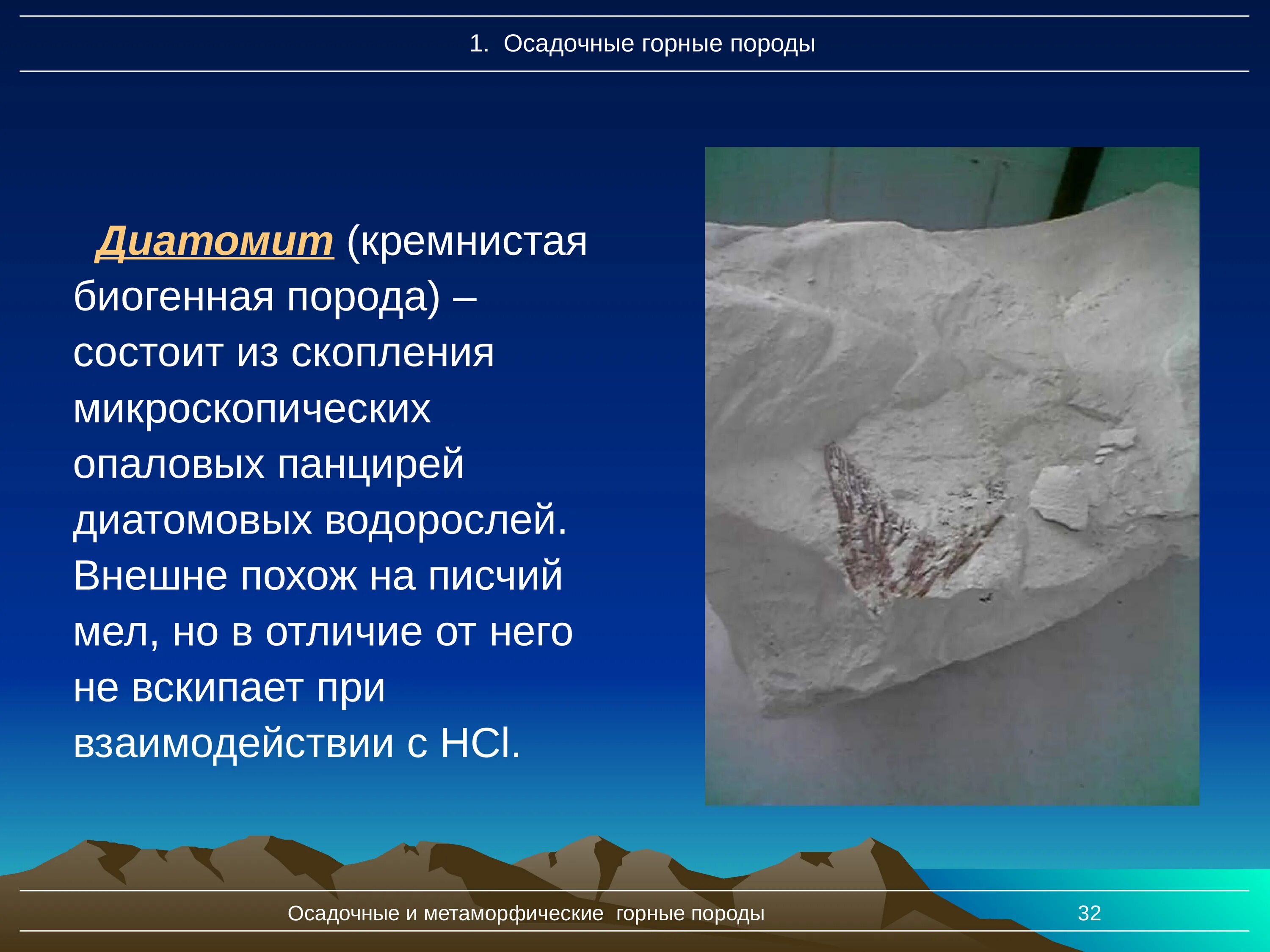 Какие осадочные породы относятся к химическим. Диатомит осадочная Горная порода. Кремнистая осадочная Горная порода. Биогенные осадочные горные породы. Трепел осадочная порода.