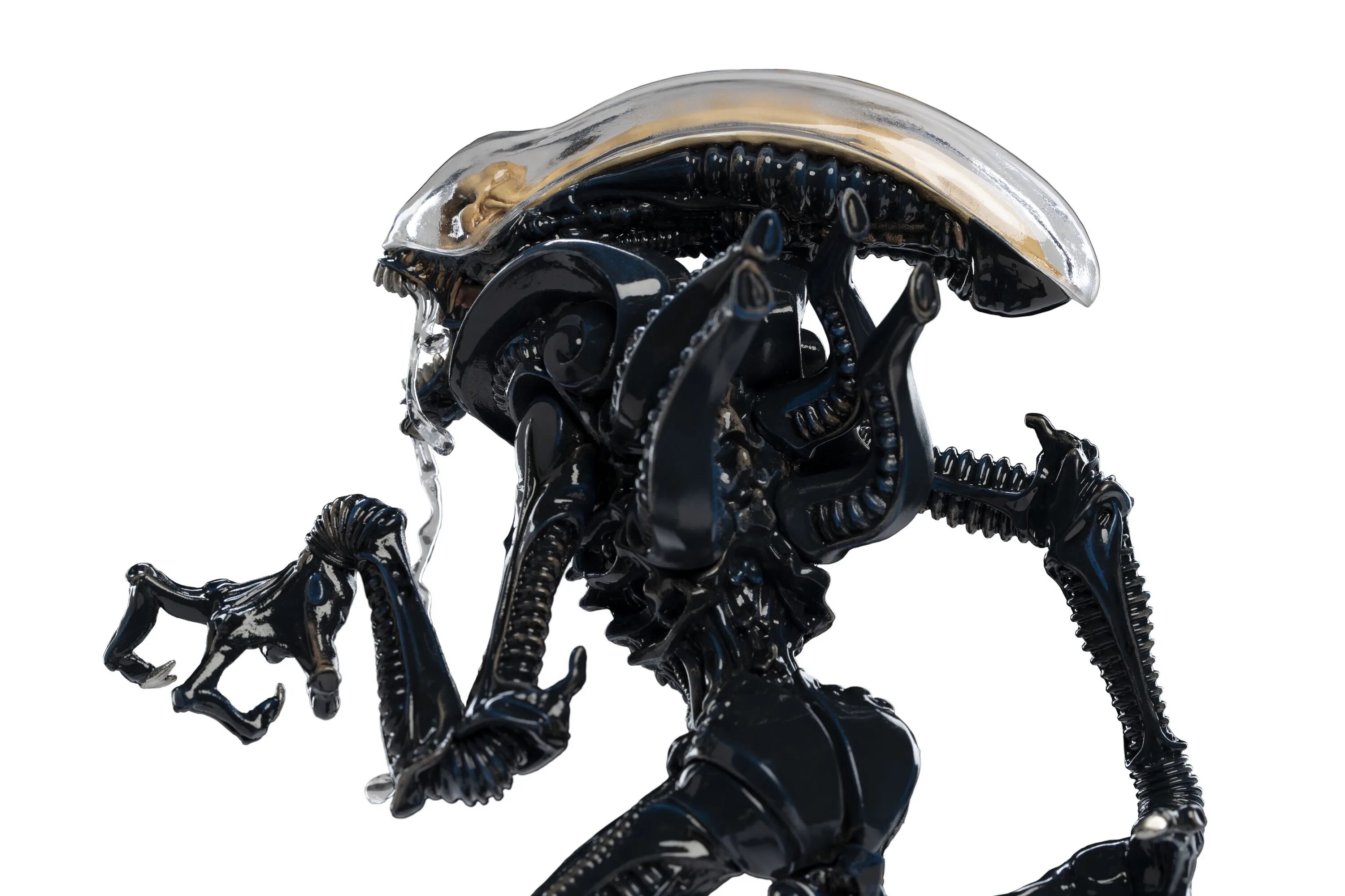 Диакон чужой фигурка neca. Фигурка neca alien vs predator (arcade) razor claws alien 51677. Чужой neca. Фигурки neca aliens. Alien warrior фигурка.