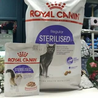 Роял для кастрированных