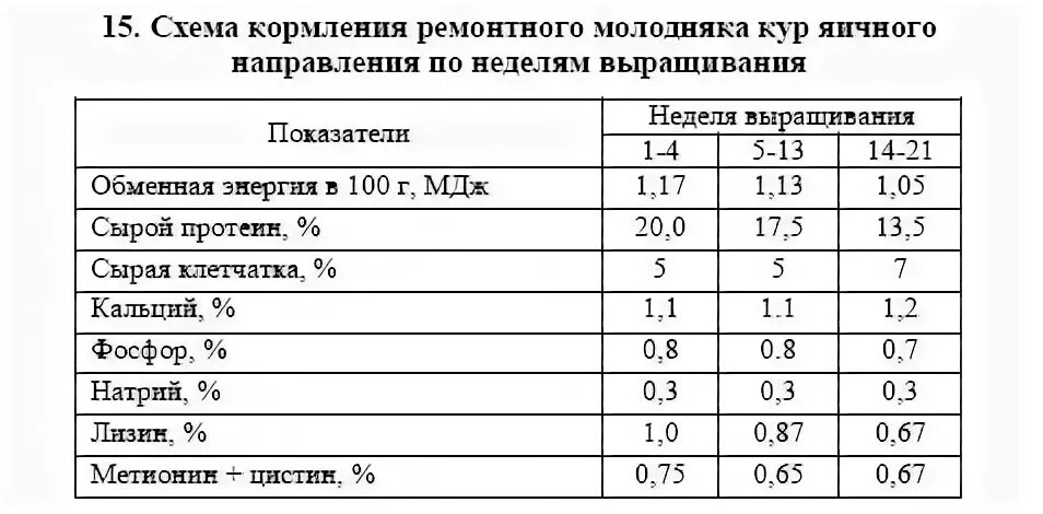 Температура курицы несушки. Норма корма для цыплят несушек. Нормы кормления птенцов кур несушек. Рацион кормления цыплят кур несушки. Схема кормления кур несушек.