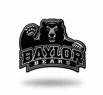 New bear