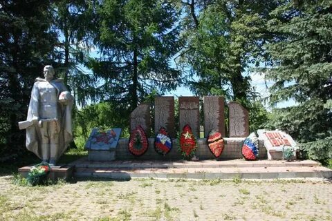 Новопетровское истринский московская