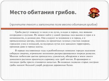 Грибы среда