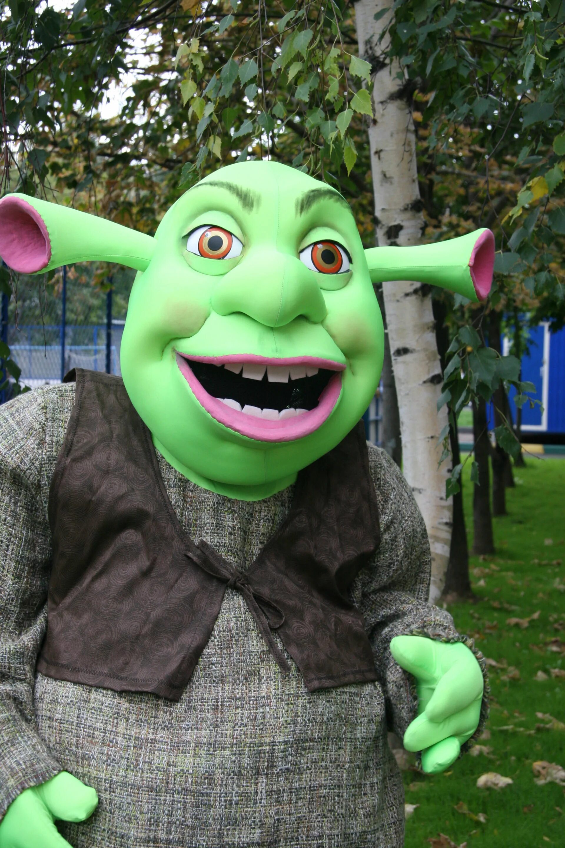 Аниматор шрек. Шрек и фиона аниматоры. Костюм в стиле шрека. Аниматор шрек москва. Ростовая кукла шрек волгоград.