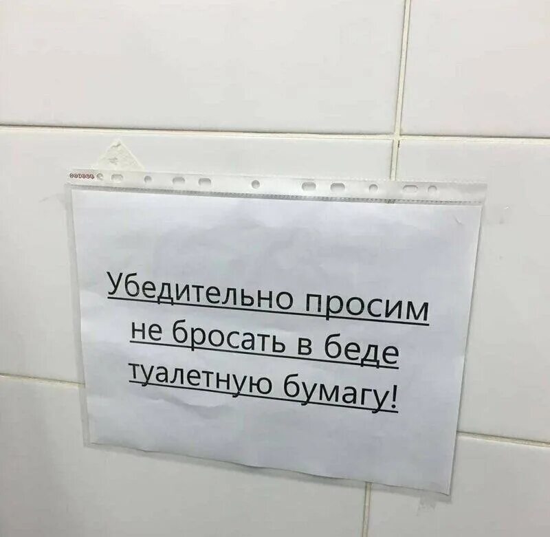 Можно кидать туалетную бумагу. Не бросайте в беде туалетную бумагу. Убедительная просьба не бросать в беде туалетную бумагу. Убедительная просьба кидать туалетную бумагу в. Не бросайте бумагу в туалет.