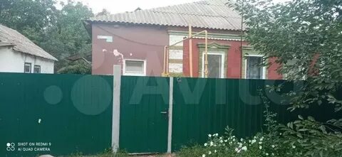 Рп5 колос ростовская область
