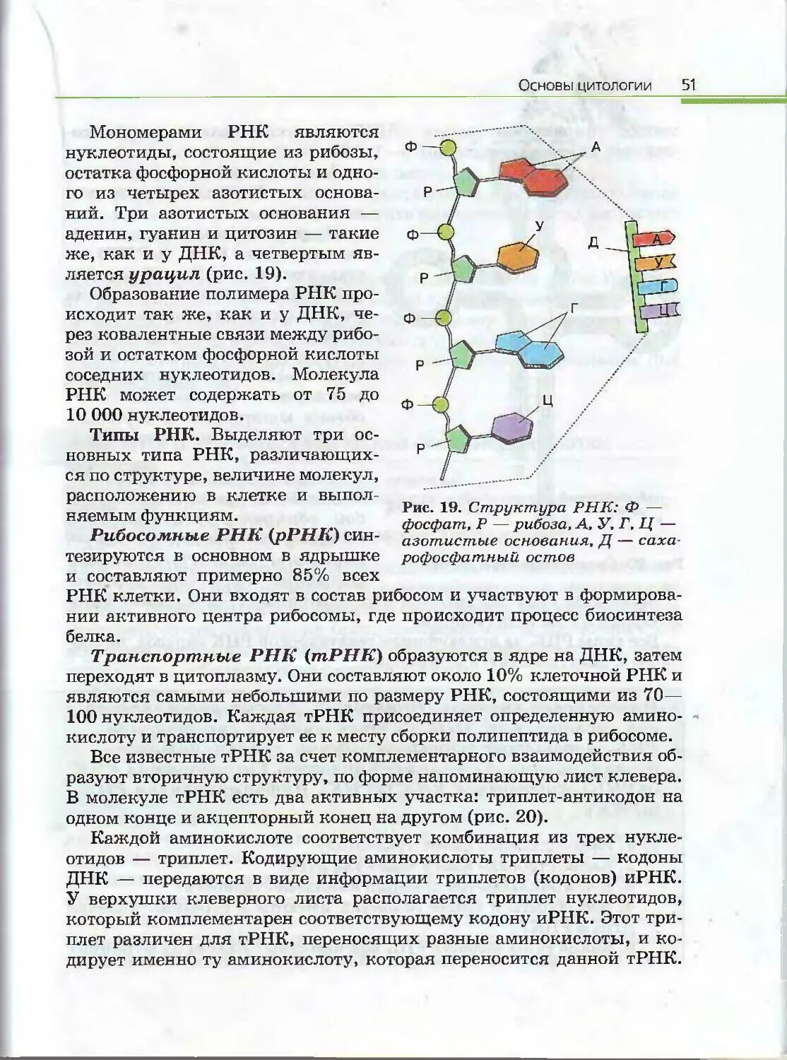 Биология 10 каменский криксунов пасечник. Книга по биологии 10-11 класс Каменский. Учебник биологии 10-11 Пасечник, Каменский, Криксунов. Каменский Криксунов 10-11 общая биология. Общая биология» 10-11 класс е.а. Криксунов.