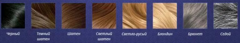 брюнет шатен русый. серхио карвахаль. шатен и русый цвет. красивые мужчины. краска для волос с натуральными красителями.