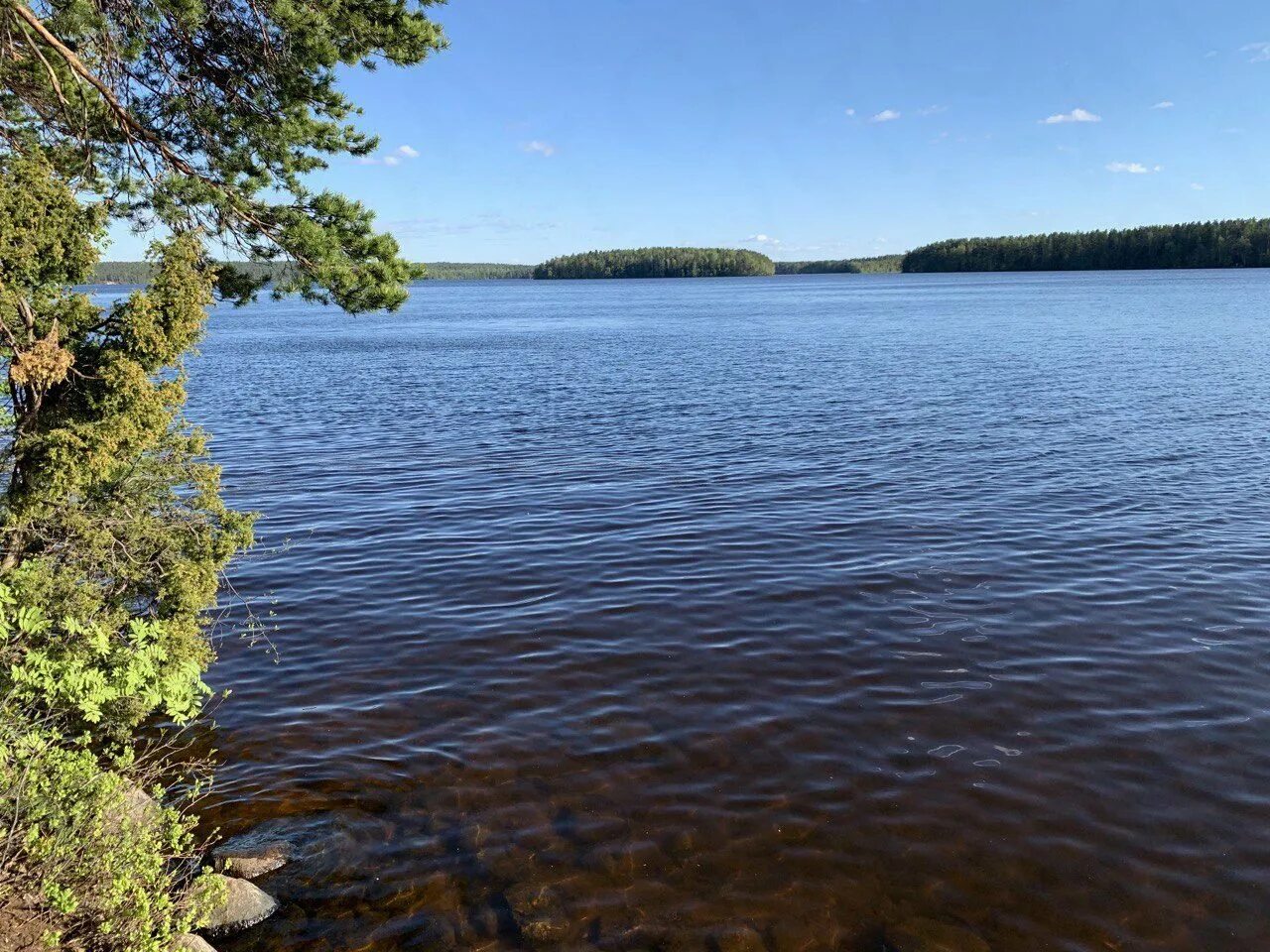 красная долина ленинградская область выборгский район. озеро красное ленинградская область выборгский район. красное озеро санкт-петербург. р красная лен обл. озеро беличье выборгский район.