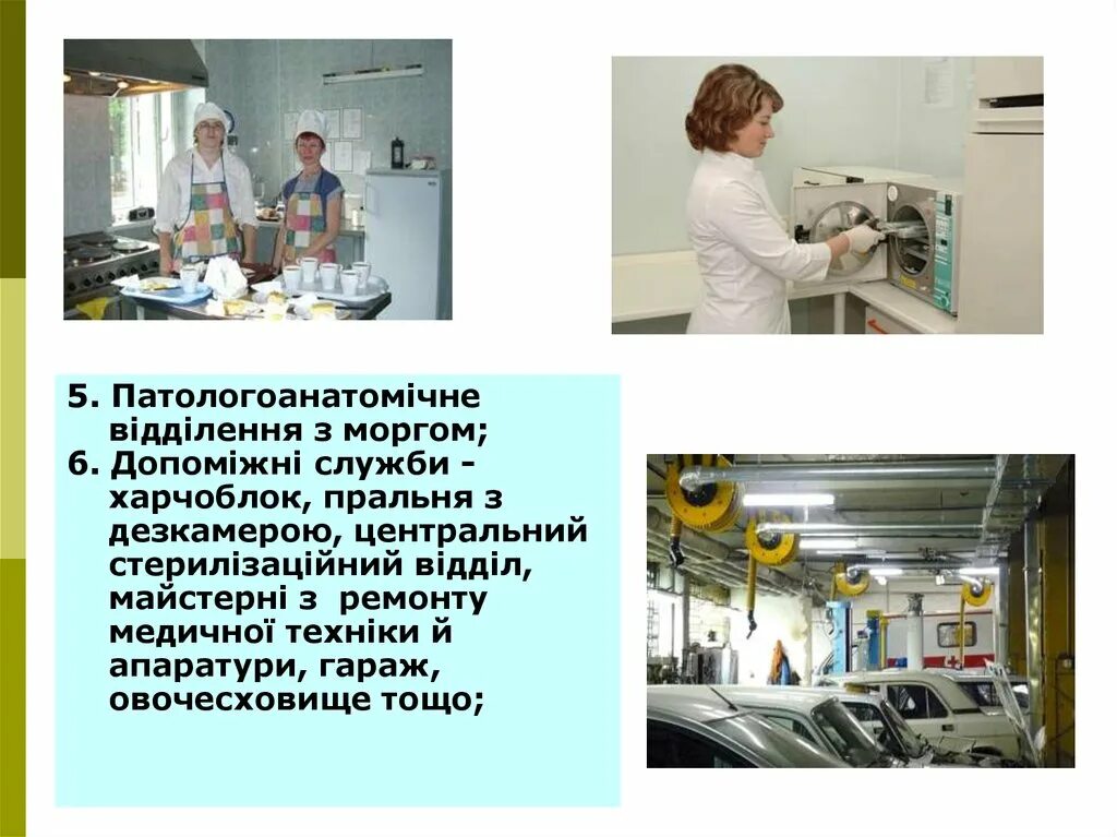 Паталогоанатомическое отделение. Патологоанатомическое отделение. Вспомогательное лечебное отделение это. Медицинский лабораторный техник в патологоанатомическое отделение. Гигиенический отдел