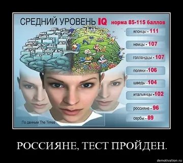 Iq 2000