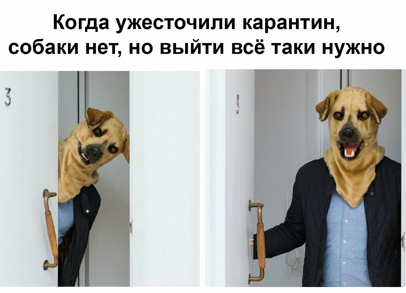 Modern problems. Мем про современных собак. Современные проблемы требуют Мем. Современные проблемы требуют современных решений. Современные решения Мем.