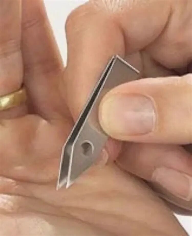 читать две занозы для