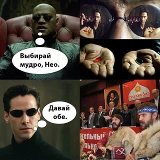 Выбирайте мудро
