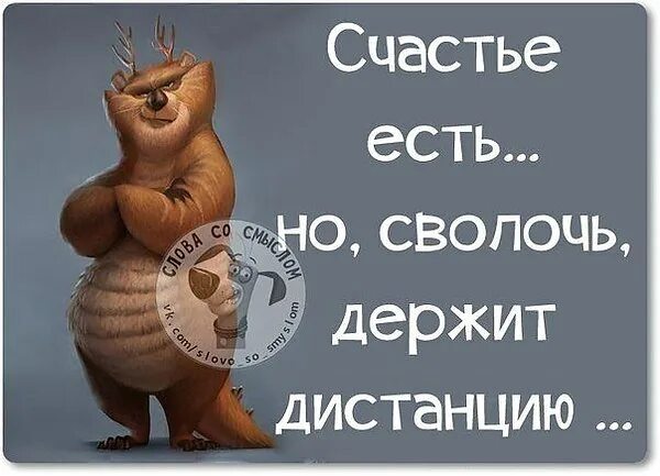 Счастье есть его не может быть. Счастье юмор. цитаты про счастье прикольные. счастье есть юмор. статусы про счастье прикольные.