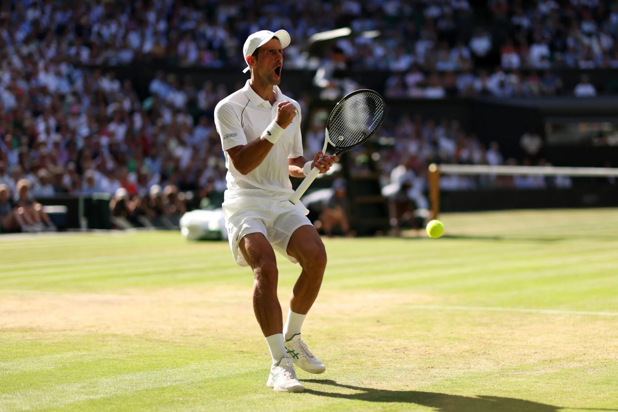Теннис уимблдон 2021. Новак джокович уимблдон 2023. Вимбелдон 2022. Wimbledon 2022. Карлос алькарас (теннисист).