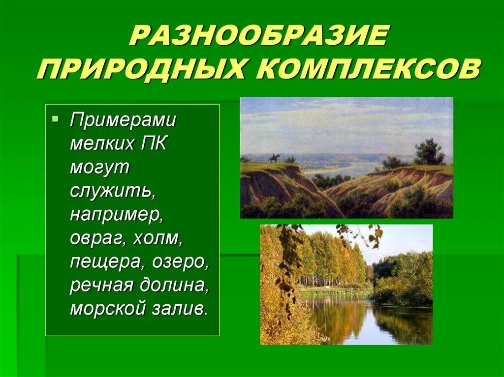 Какие природные комплексы являются наименьшими по размеру. Природные комплексы. Примеры природных комплексов. Разнообразие природных комплексов. Локальные природные комплексы.