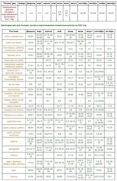 Календарь посадки январь 2025. Календарь посадок. лунный посевной календарь. посадочные дни июль 2025 года по лунному. посевной календарь на 2025 для огородников ленинградской.