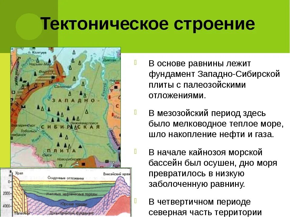 Определение принадлежности какого хребта к сибирской. Тектоническая структура Западно-сибирской равнины. Тектоническая структура Западно сибирсеоцтравнины. Западно Сибирская равнина на карте тектоническая структура. Геологическое строение рельеф Западной Сибири равнины.