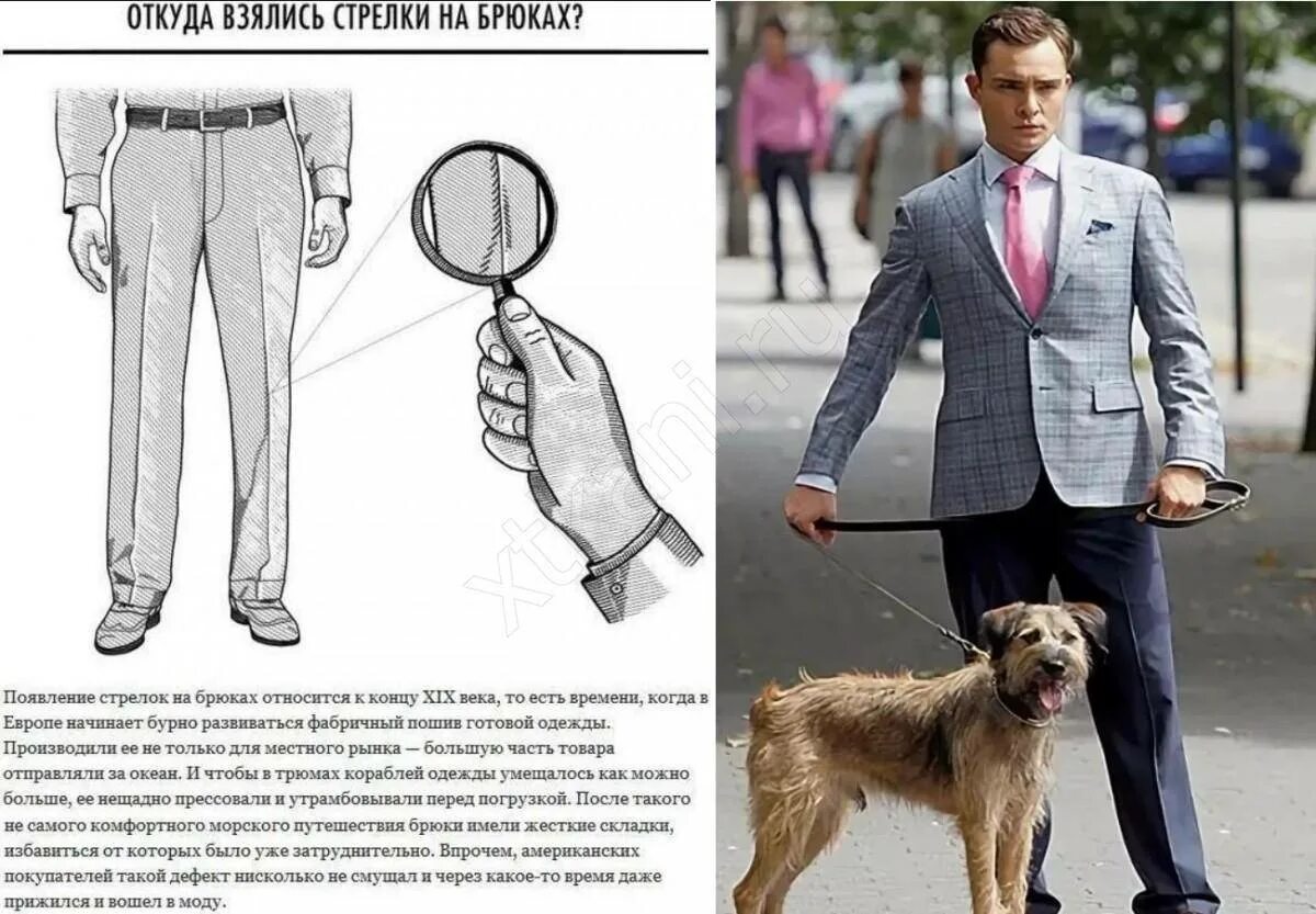 Схема глажки брюк. Глажка брюк. Как правильно гладить стрелки. Глажка стрелок на брюках. Схема глажки белья.