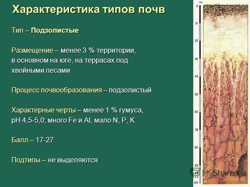 Распространенный тип почв в россии. Особенности дерново-подзолистых почв. Типы почв. Чернозём каштановые и подзолистые почвы. Плодородность почвы почвоведение таблица.