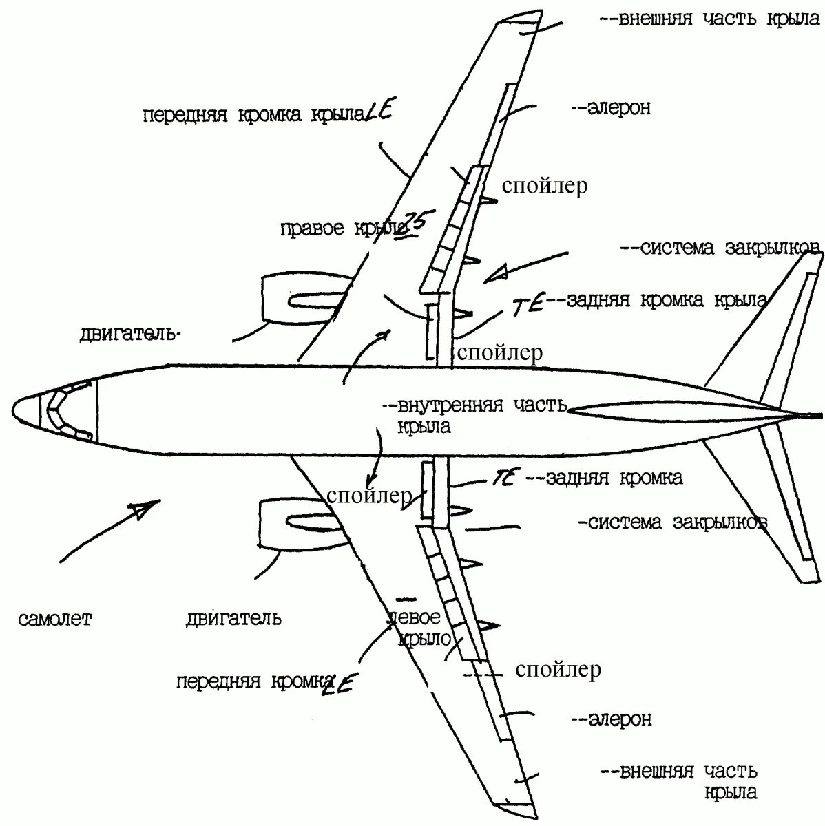 Крыла самолета 7 букв. Конструкция крыла Боинг 737. Строение крыла самолета Боинг 737. Схема самолета механизация крыла Элерон. Строение крыла самолета Аэробус 320.