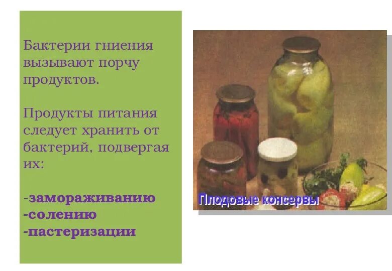 Перечислить микробы вызывающие порчу продуктов. Бактерии гниения продукты питания. бактерии вызывающие порчу продуктов питания. микроорганизмы вызывающие гниение. микроорганизмы вызывающие порчу пищевых продуктов.