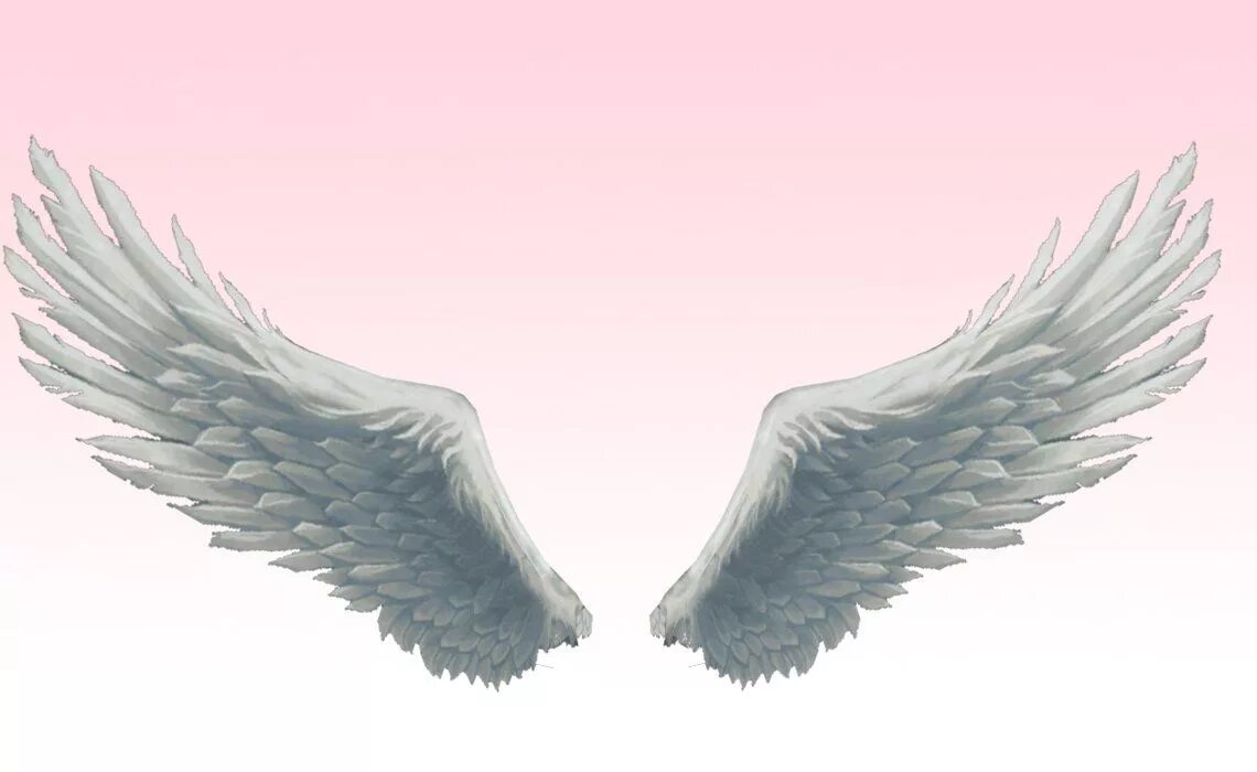 Could it wings