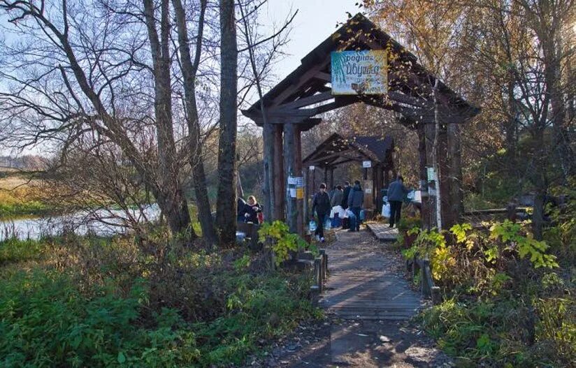 Родник пушкино. Родник Ивушка Мамонтовка. Родник Ивушка в Пушкино. Родник Ивушка Мамонтовка Пушкино. Родник Мамонтовка.