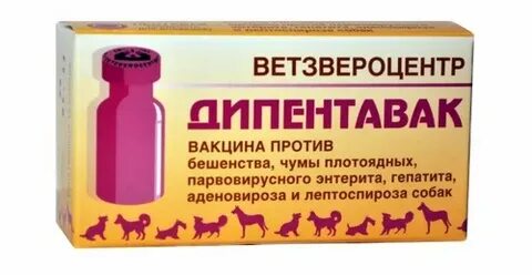 Дипентавак вакцина инструкция