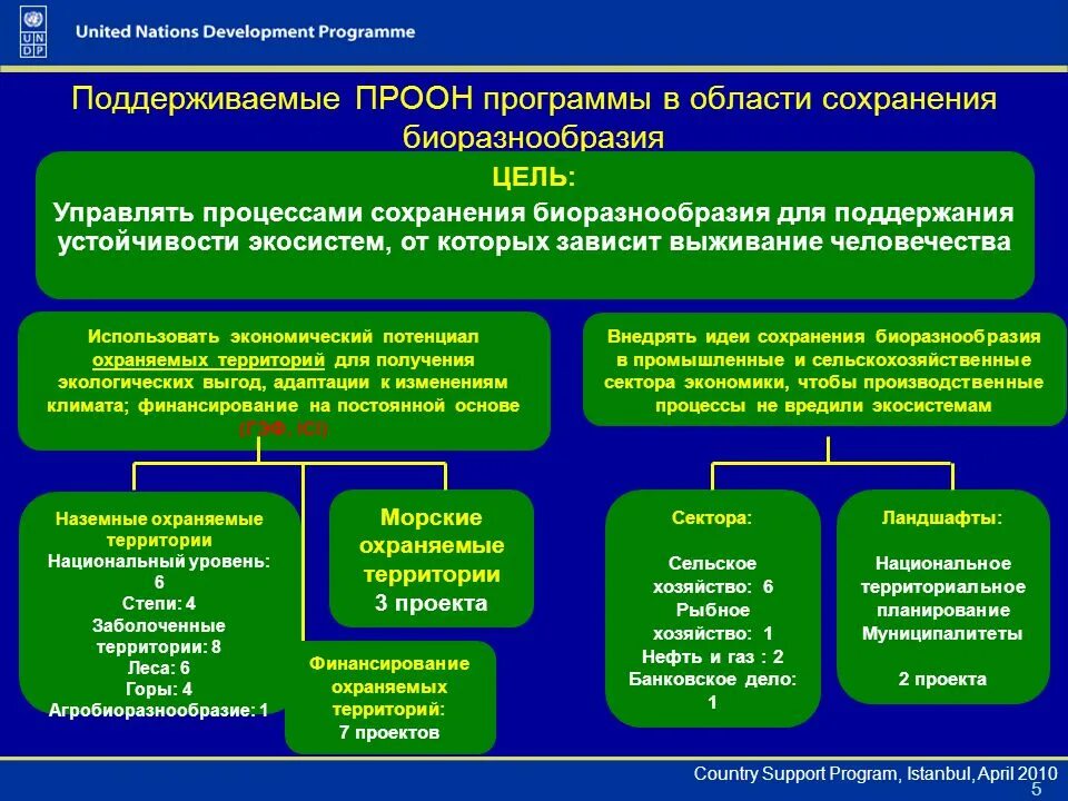 Цели биоразнообразия. Структура биоразнообразия. Три уровня биоразнообразия. ПРООН биоразнообразие. 3 уровни охраны