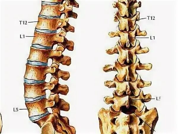 spinerepairkit Autodesk Community Gallery