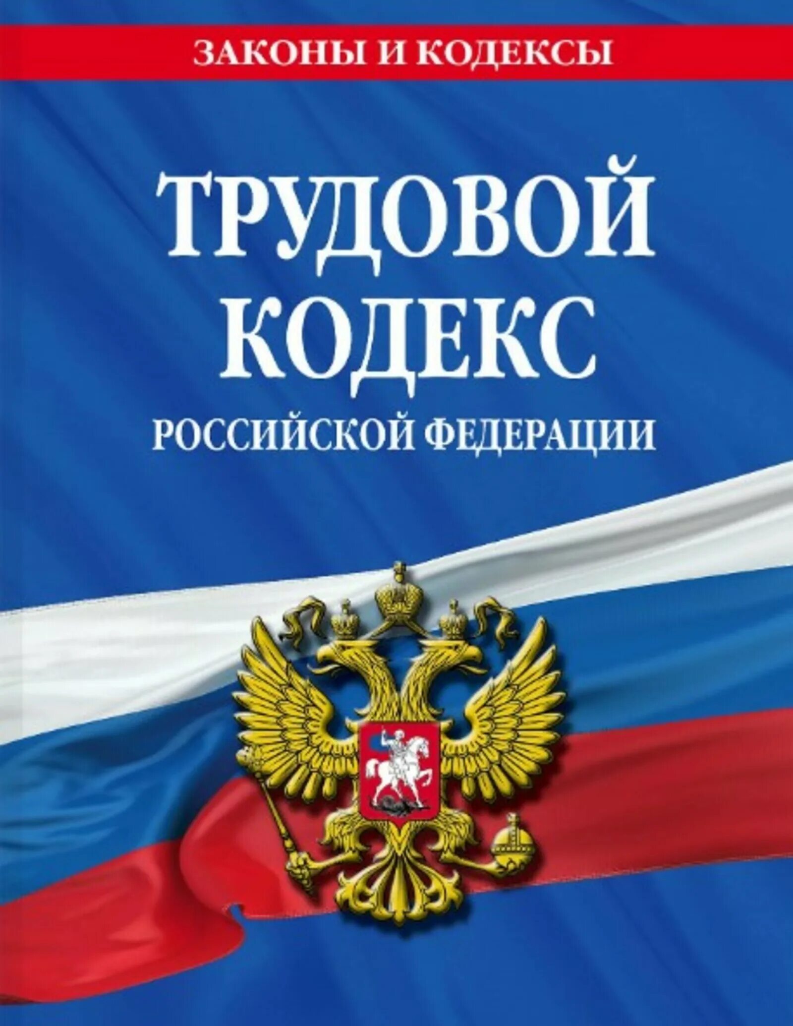 Уголовный кодекс 2025. Уголовный кодекс. уголовный кодекс российской федерации. уголовный кодекс книга. трудовой кодекс российской федерации.