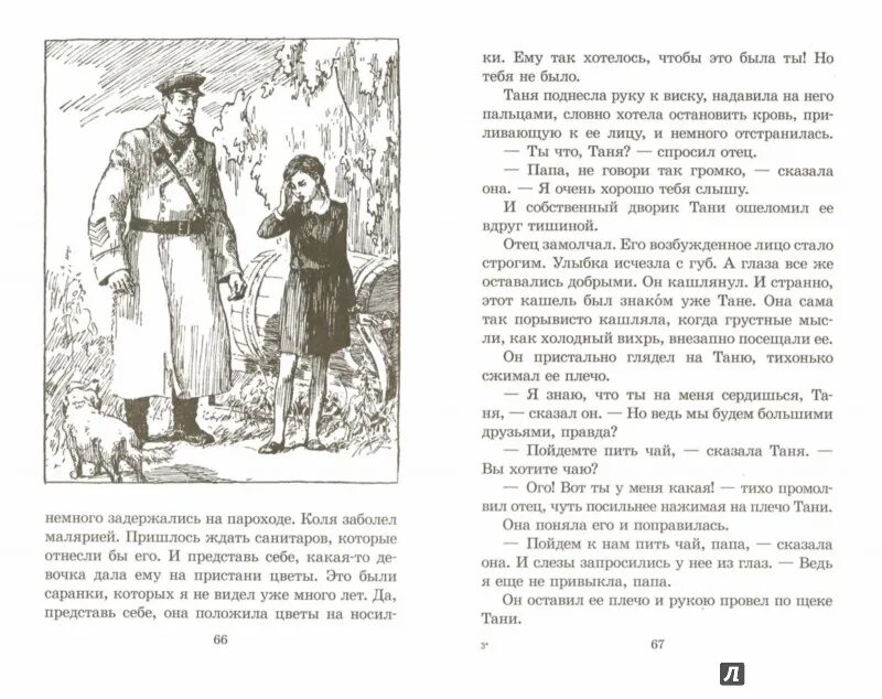 Дикая собака динго или повесть о первой любви картинки. Дикая собака динго, или повесть о первой любви рувим фраерман книга. Описание тани из рассказа дикая собака. Описание тани из рассказа дикая собака. Фраерман дикая собака динго.