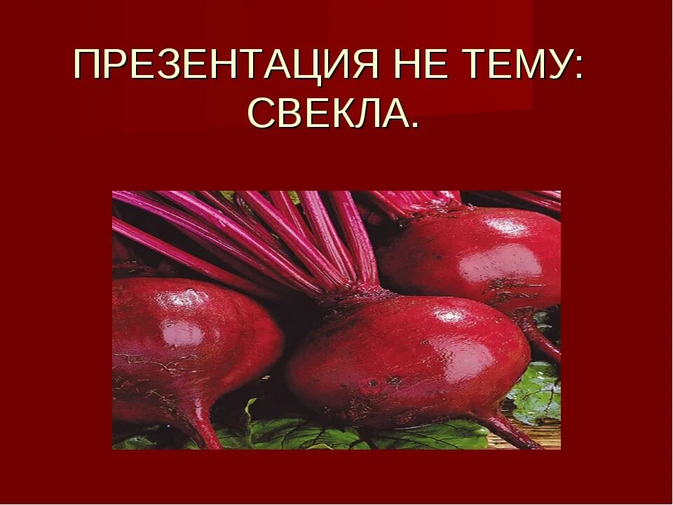 Свекла относится к группе. Свекла для презентации. Презентация на тему свекла. Презентация про свеклу для детей. Свекла культурное растение.