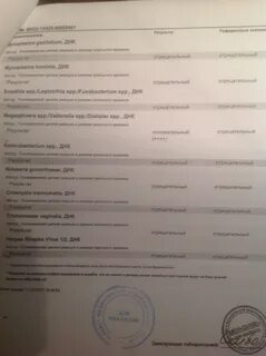 Какие анализы уролога