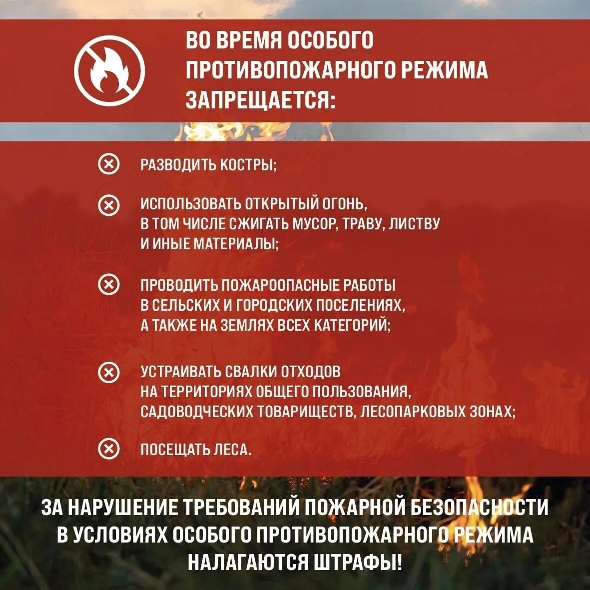 Установление особого противопожарного режима. Противопожарный режим в Омской области. Особый противопожарный режим в Московской области 2023. Особый противопожарный режим штраф. Противопожарный режим воронеж 2024