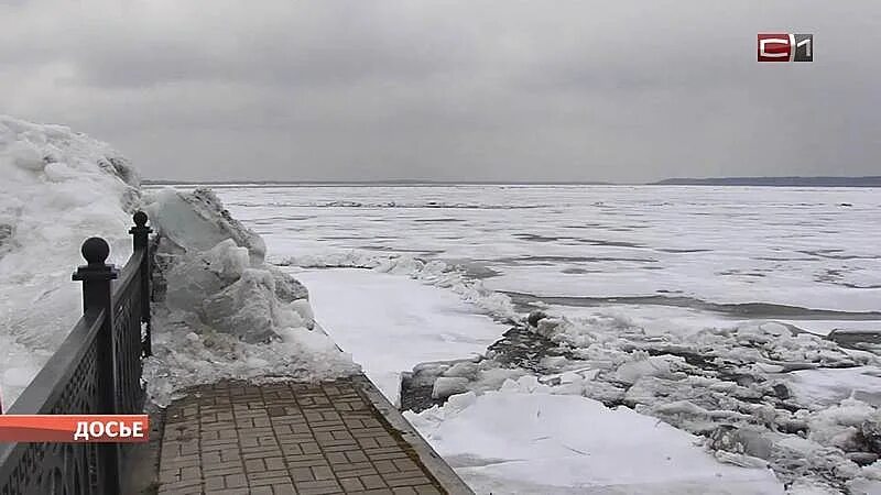 Уровень воды в сургуте на сегодня. Ледоход на Оби. Половодье реки Обь. Ледоход Обь. Ледоход Россия.