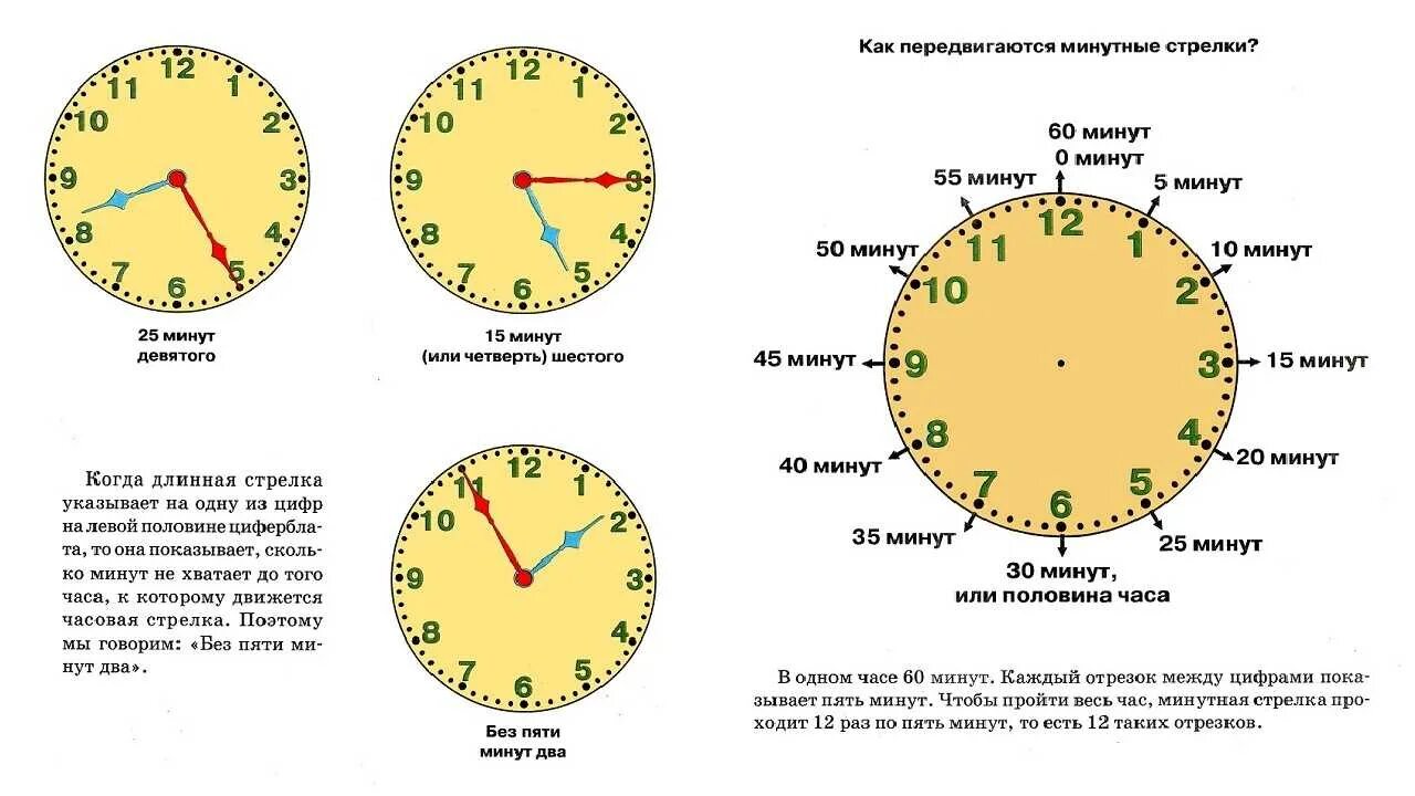 Сколько половина суток. Время суток по часам. Время по часам через час. Как знать время по чассм. Сколько время сколько время.