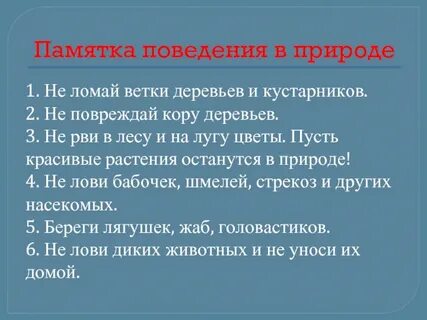 Памятка поведения
