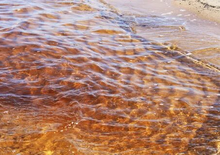 Вода в море в янтарном
