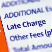 Other fees
