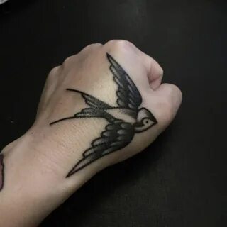 Black swallow