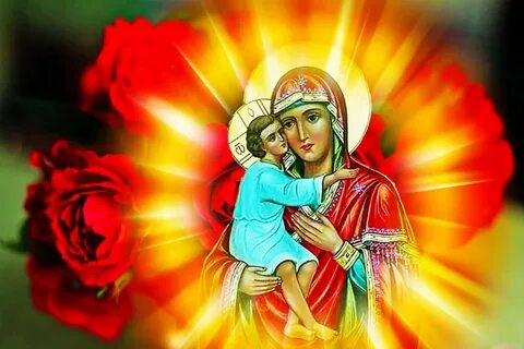 Икона 24