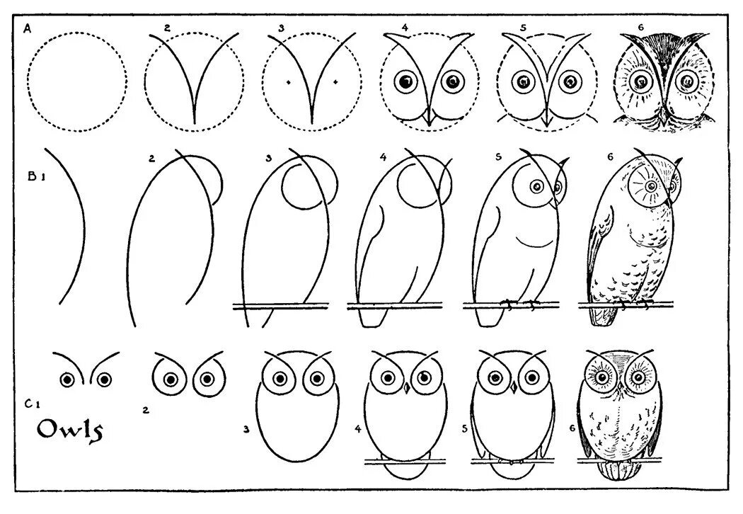 Уроки рисования 6 класс. Сова рисунок. Как нарисовать сову. Легкие рисунки. Рисунки для срисовки лёгкие.